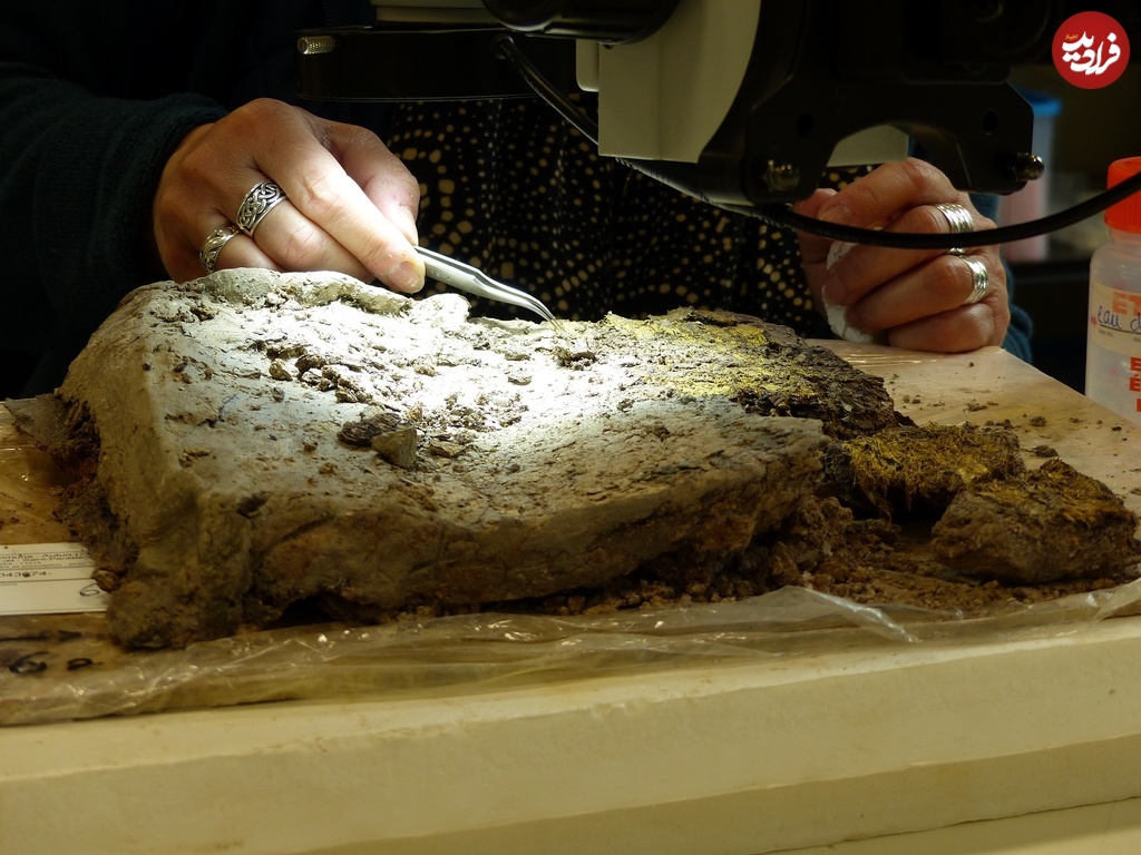 Fabienne-Medard-digging-into-one-of-the-clods-of-earth-containing-the-gold-fabric.-Photo-©-Lucie-Marquat-Inrap.