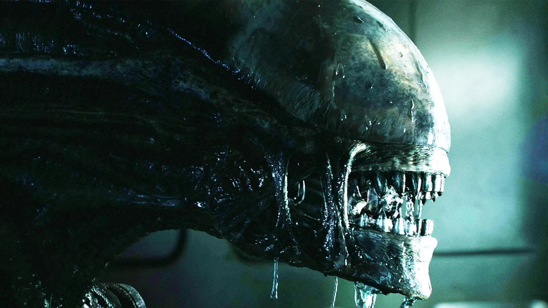 alien-fx-series-xenomorph-sag-wag-strike_3_11zon