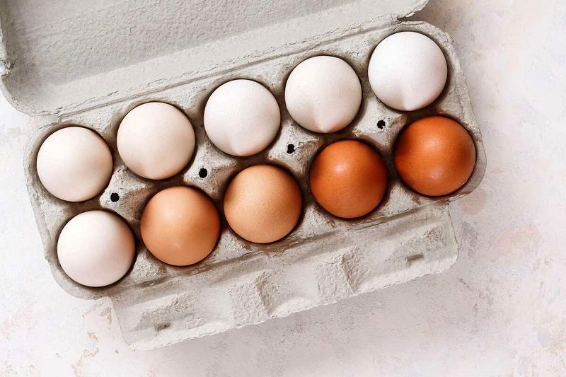 تخم‌ مرغ قهوه‌ای و سفید؛ کدام بهتر است؟