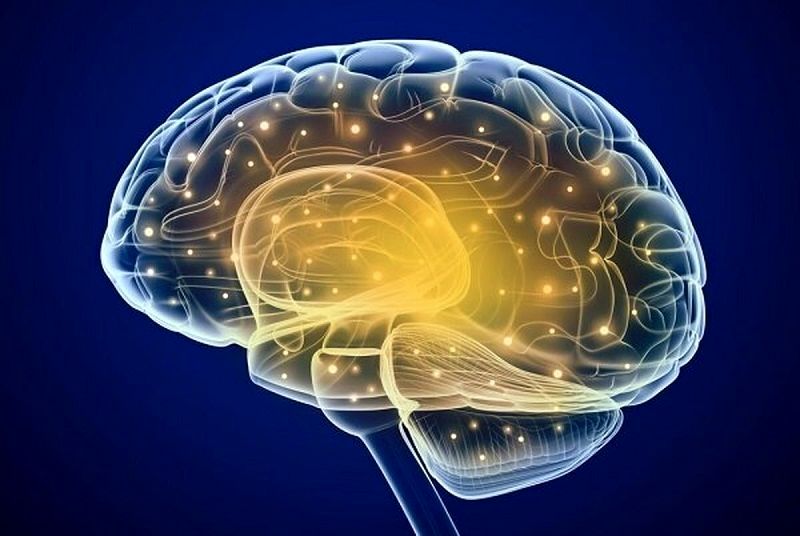 مغز از چه سنی پیر می‌شود؟