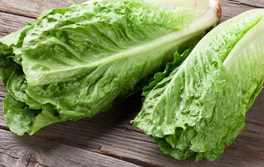 چگونه کاهو را در یخچال تازه نگه داریم؟