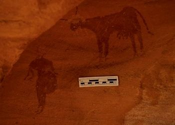 کشف سنگ‌نگاره‌هایی در بیابان که یادگار دورانی سرسبز در ۴ هزار سال پیش هستند